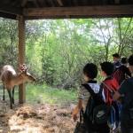 Studenti ammirano la fauna del Parco del Pollino