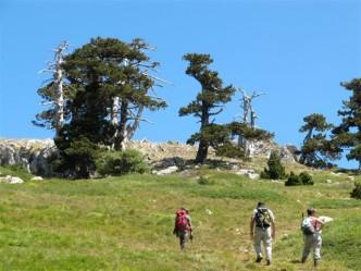 Escursioni sul Pollino