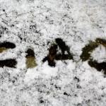 Divertimento sotto la neve sul Pollino