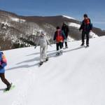 Escursionisti sulla neve del Pollino
