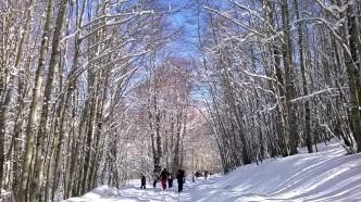 Escursione sulla neve nel Parco del Pollino