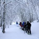Trekking sul Pollino con la neve