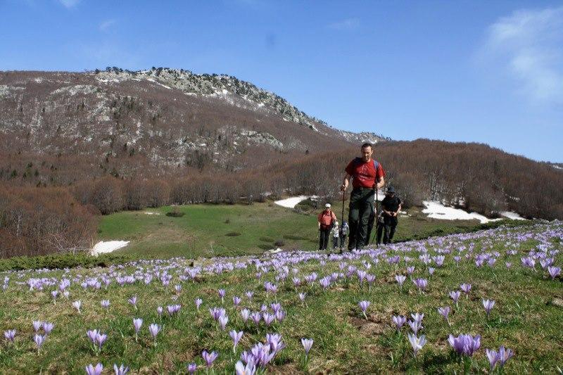 Trekking sul Pollino