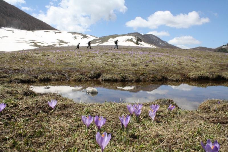 Trekking sul Pollino