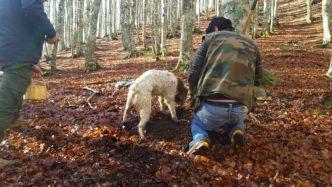 Caccia al tartufo sul Pollino